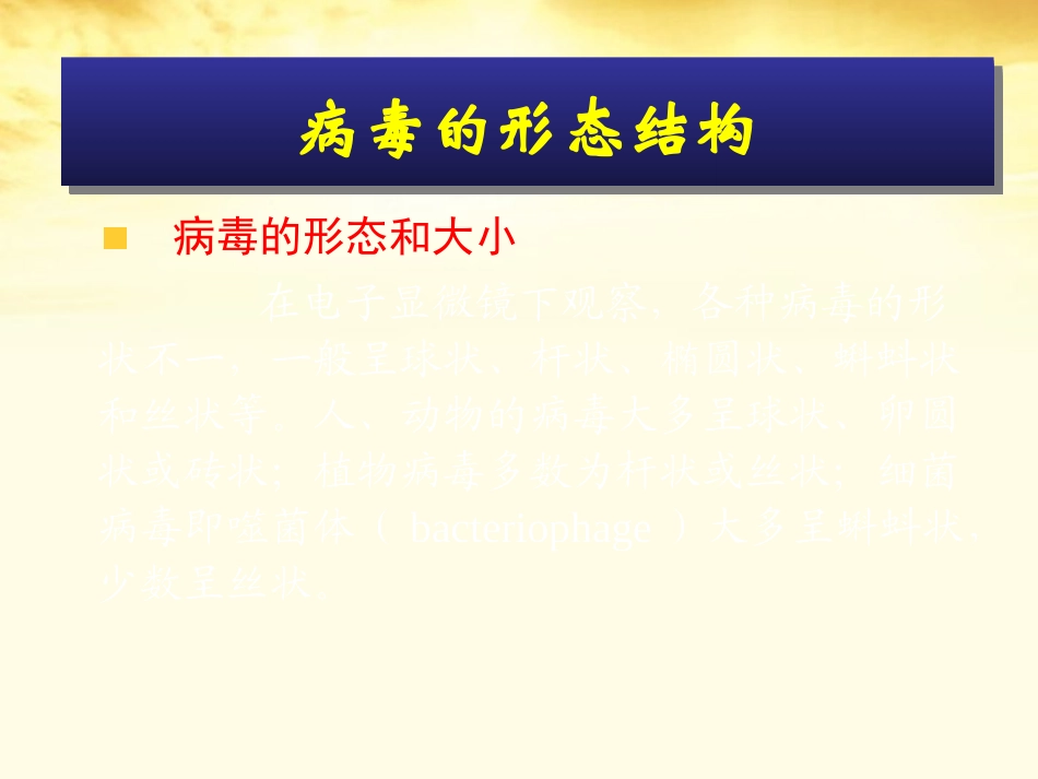 高中生物-3.3《非细胞形态的生物——病毒》课件-沪科版第一册_第3页