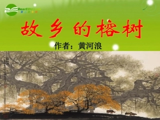 高中语文-《故乡的榕树》-课件-粤教版必修2