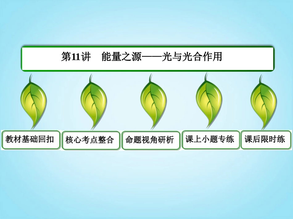 【名师一号】2014届高考生物一轮复习-(基础回扣+考点整合+命题研析+课内外训练)-3-11-能量之源—光与光合_第3页