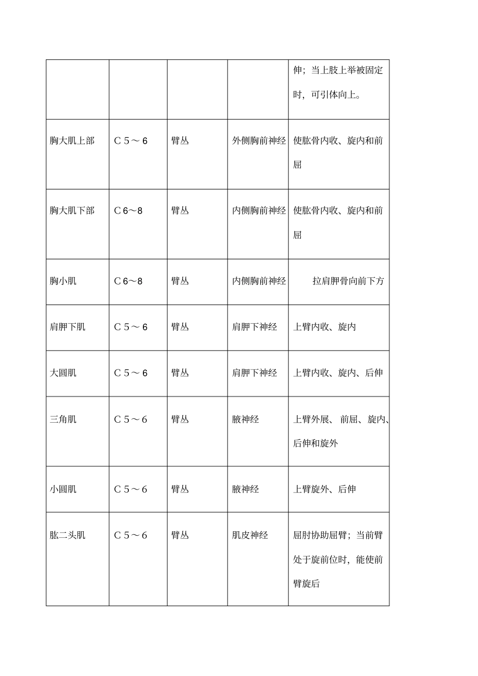 四肢肌肉神经支配_第2页