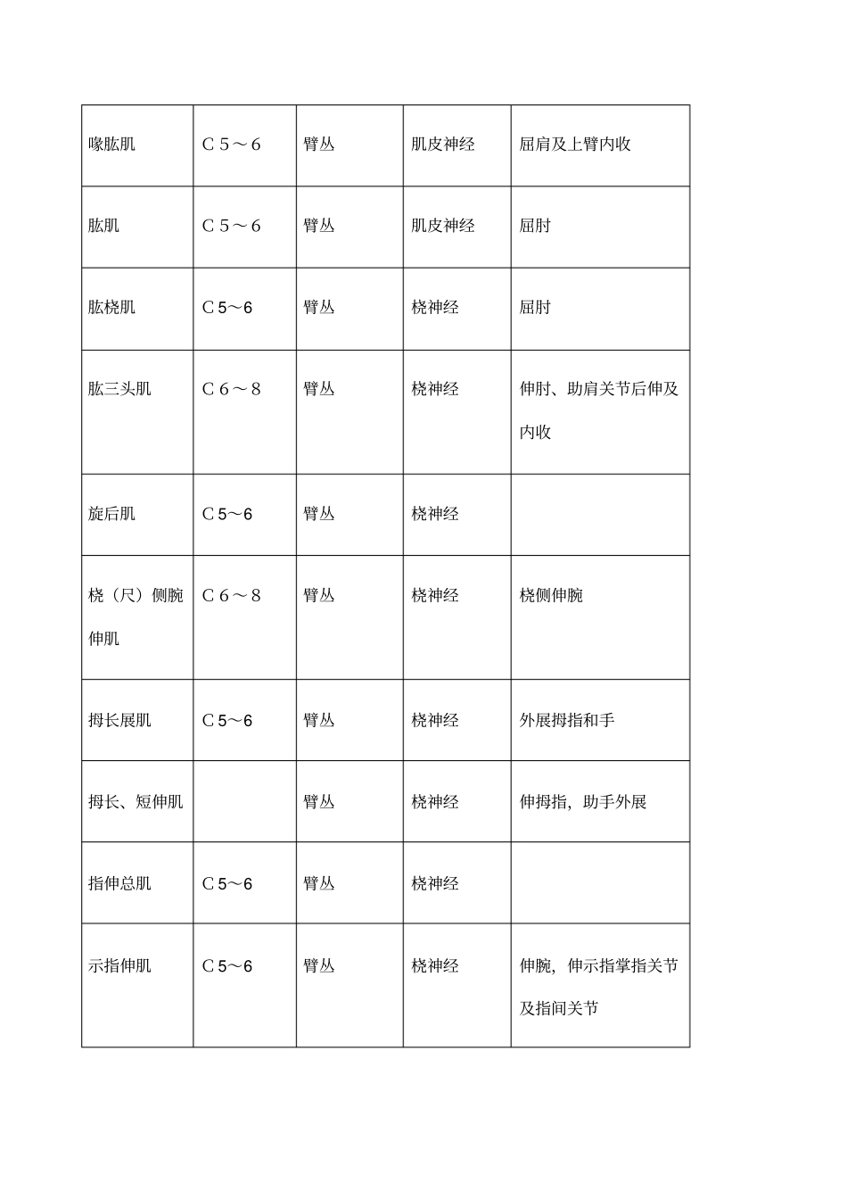 四肢肌肉神经支配_第3页