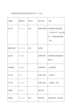 四肢肌肉神经支配