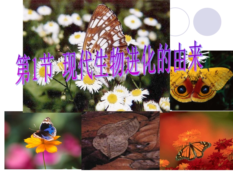 人教版必修2第七章第一节现代生物进化理论的由来(共29张PPT)_第2页