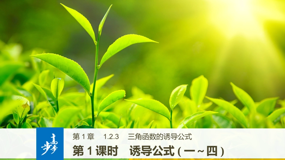 1.2.3三角函数的诱导公式_第1页