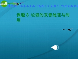 山东省2010年高中化学-专题1课题3《垃圾的妥善处理和利用》优质课件评选课件-鲁科版必修1