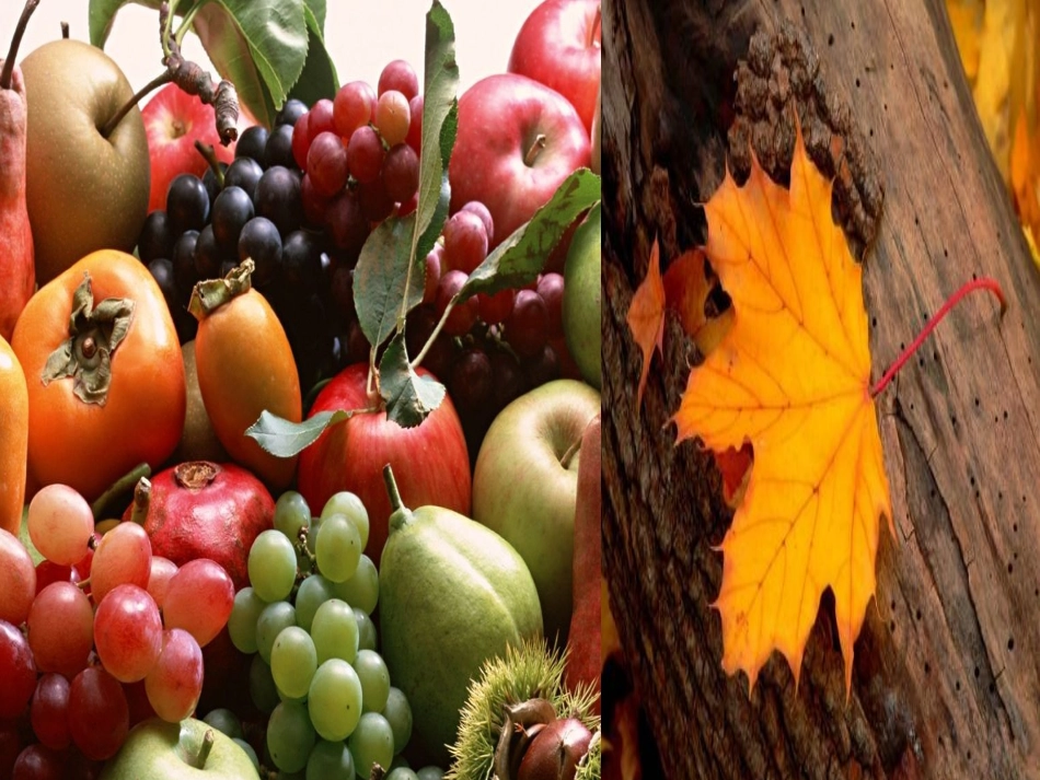 (部编)人教2011课标版一年级上册《四季》第二课时_第3页