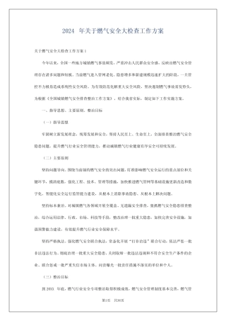 2024年关于燃气安全大检查工作方案 