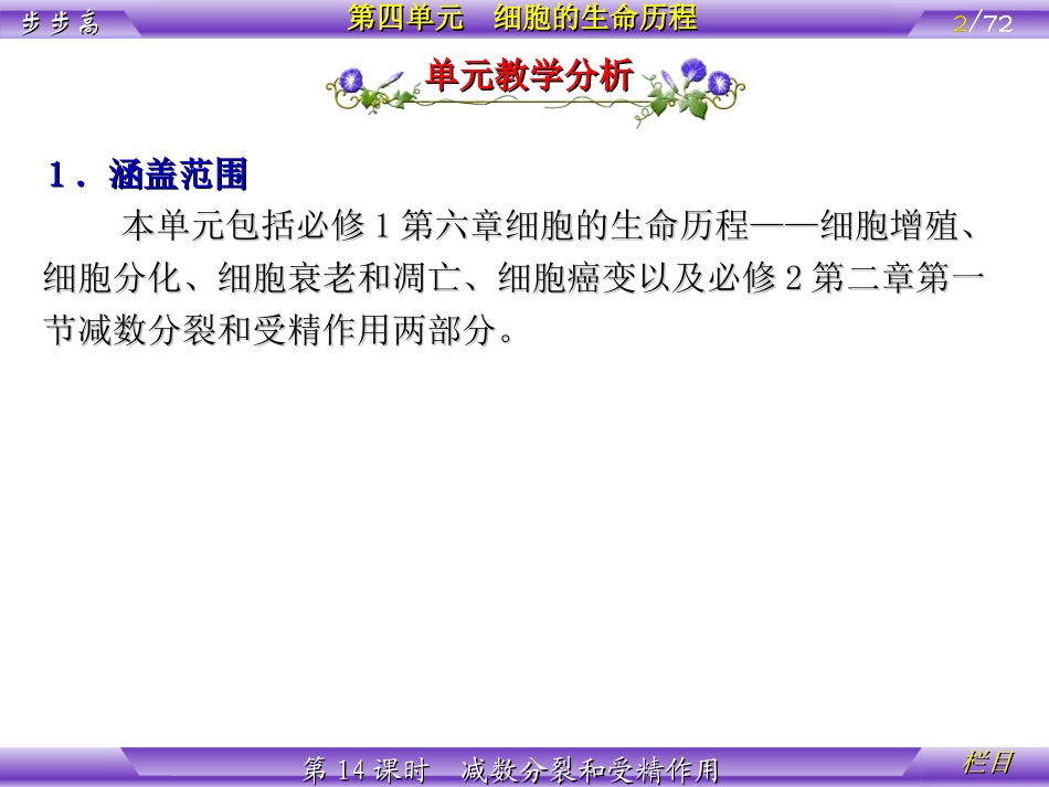 2.2-《减数分裂和受精作用》课件9_第2页