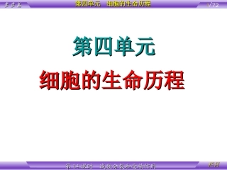 2.2-《减数分裂和受精作用》课件9