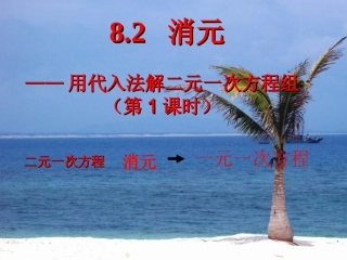8.2.1-用代入消元法解二元一次方程组-(2)
