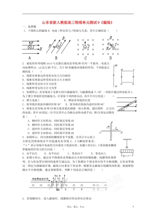 山东省2012届高三物理《磁场》单元测试9-新人教版
