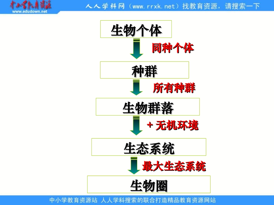 第一节生态系统的营养结构-(2)_第2页