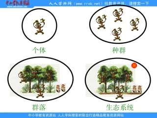 第一节生态系统的营养结构-(2)