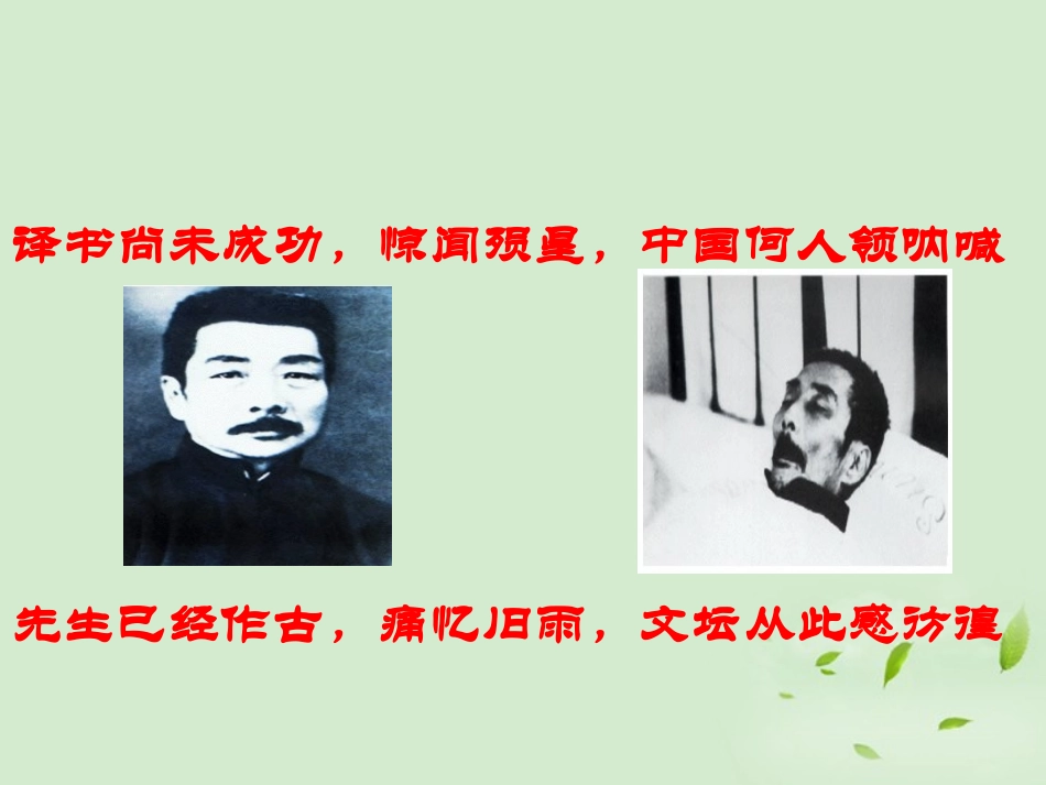 【2012年暑假总动员】高中语文-记念刘和珍君课件3_第1页