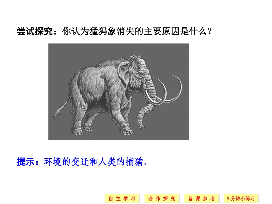 第一节自然地理要素变化与环境变迁-(11)_第3页