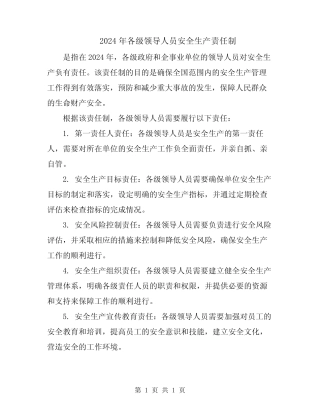 2024年各级领导人员安全生产责任制 