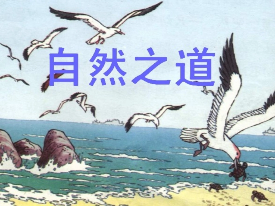 《23自然之道》课件_第1页