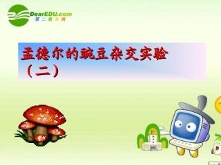 高中生物-孟德尔的豌豆杂交实验-课件24-人教版必修2