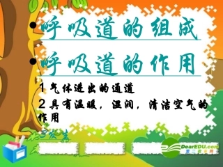 七年级生物下册：第四单元第三章第一节呼吸道对空气的处理2课件-人教版