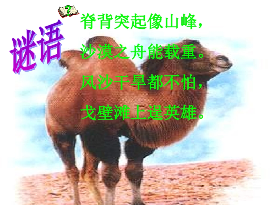 2015春鲁教版语文三下《找骆驼》ppt课件2_第1页
