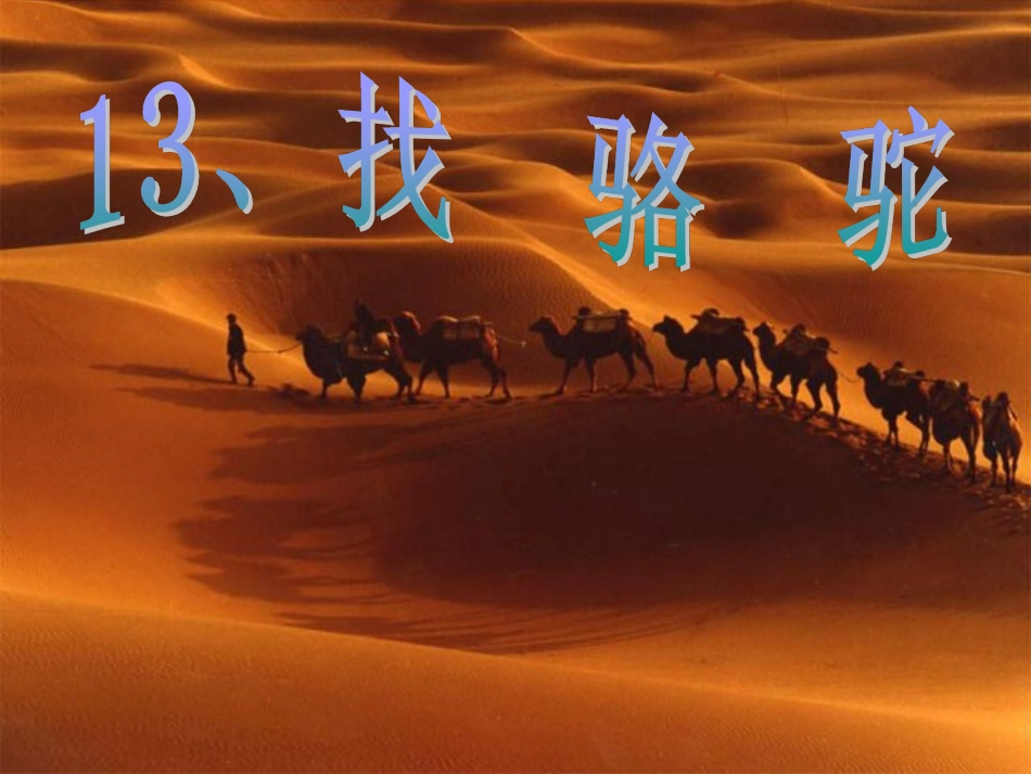 2015春鲁教版语文三下《找骆驼》ppt课件2_第2页