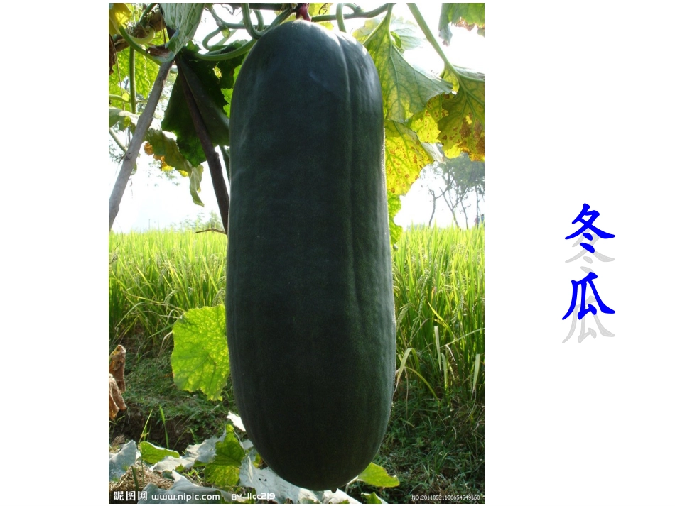 (一)休闲认知_第2页