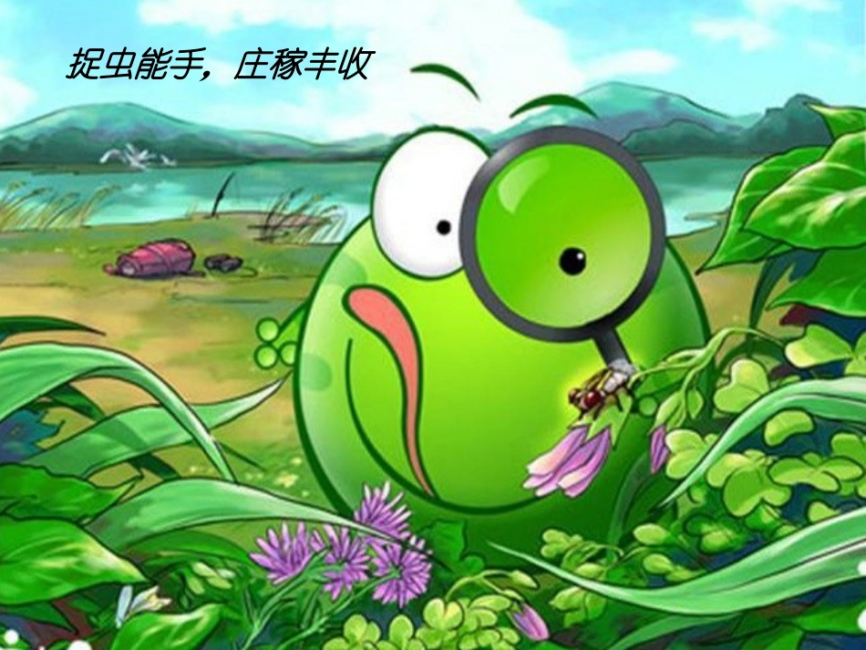 (综合表演)小青蛙找家_第3页
