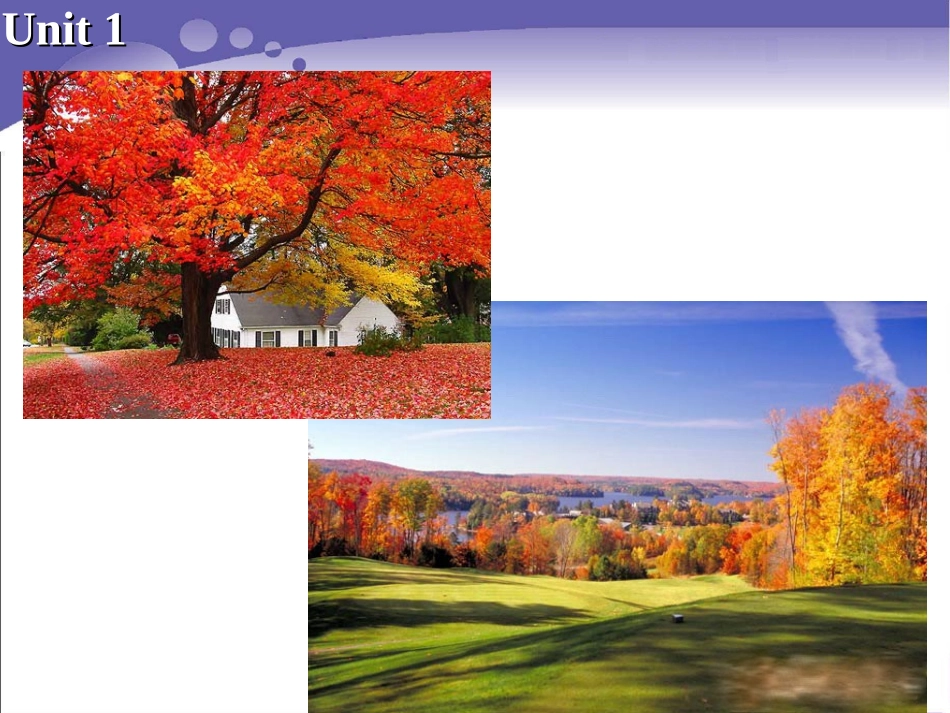 Reading(2)：Canada—landofmapletrees_第3页