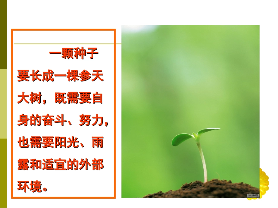 第20课-法律护我成长_第2页