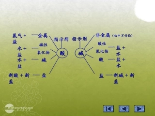 2012秋开学九年级化学《盐的化学性质》精品课件-北京课改版