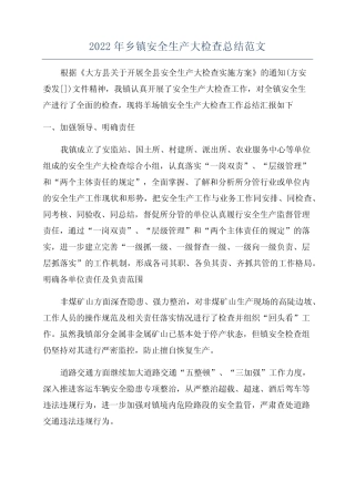 2022年乡镇安全生产大检查总结范文