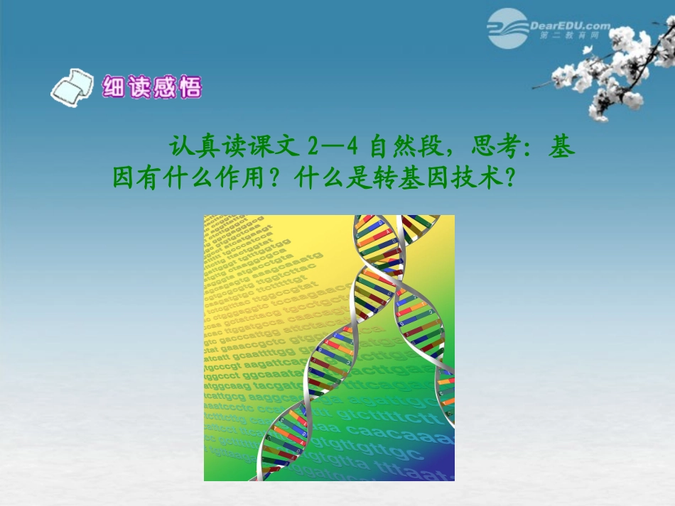 六年级语文下册-第二课时种瓜得豆-1-课件-语文S版_第2页