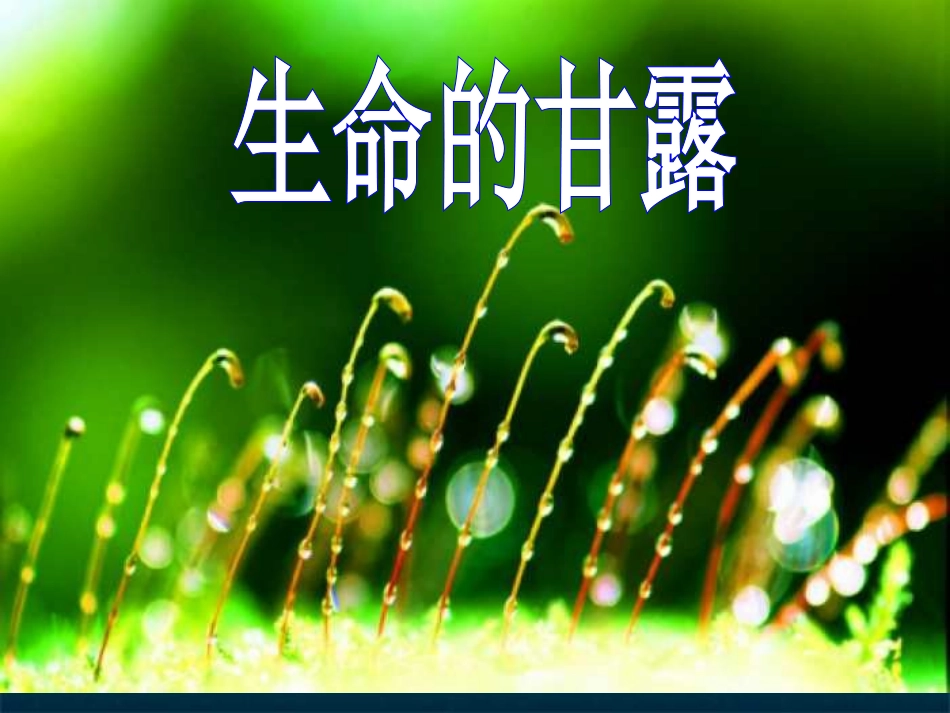 生命的甘露._第2页