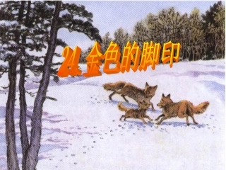《金色的脚印》
