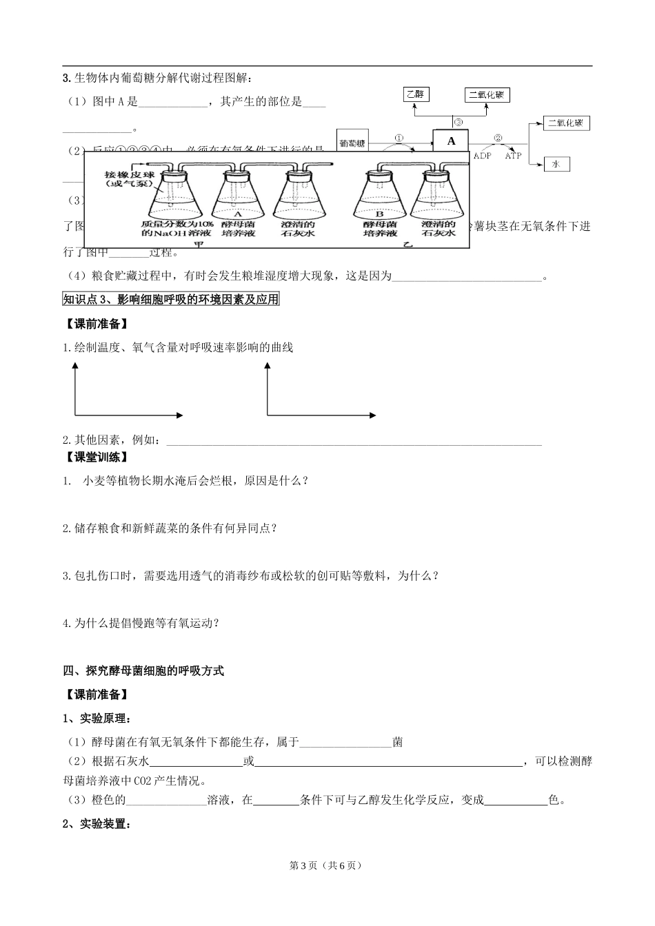 第9讲细胞呼吸_第3页