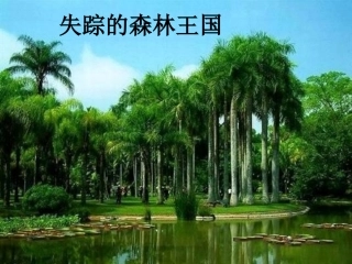 《失踪的森林王国》课件2