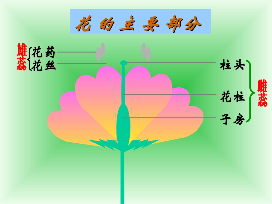 八年级生物-第一节-植物的生殖课件-人教版_第3页