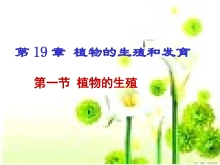 八年级生物-第一节-植物的生殖课件-人教版