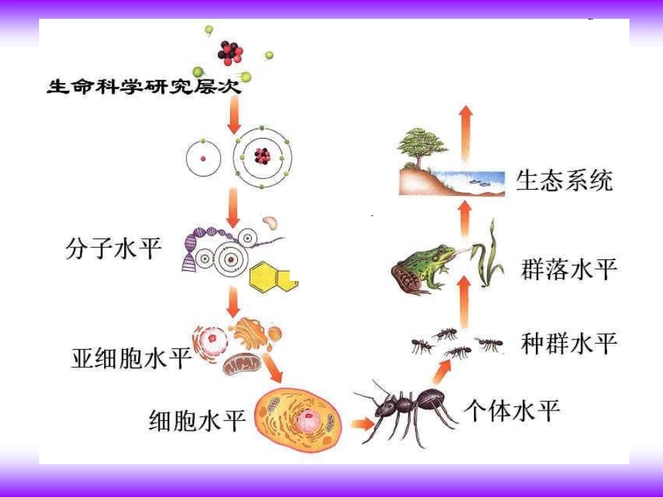 第一节生物圈_第2页