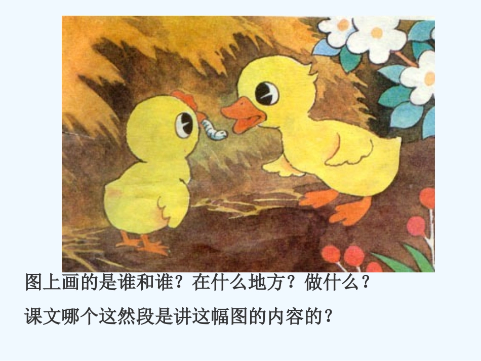 (部编)人教语文2011课标版一年级下册5-小公鸡和小鸭子-(5)_第3页