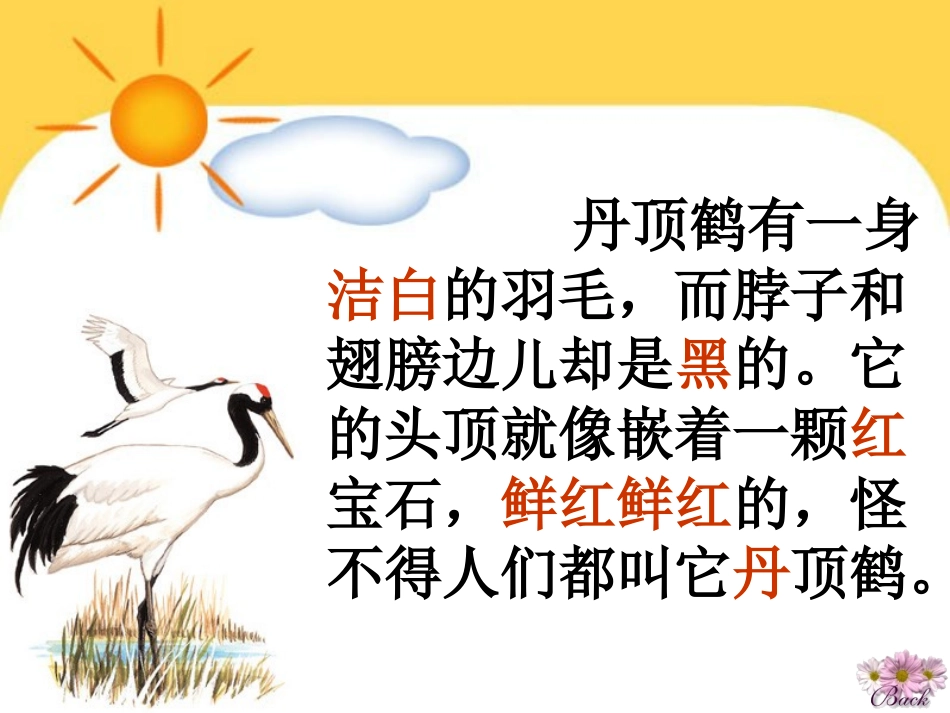 美丽的丹顶鹤_第2页
