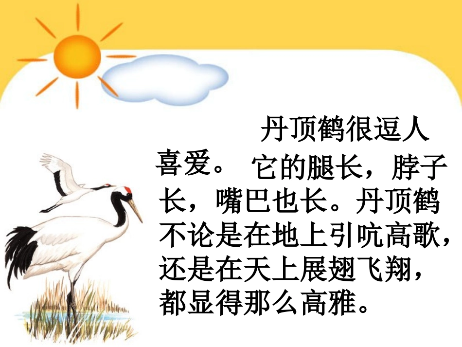 美丽的丹顶鹤_第3页