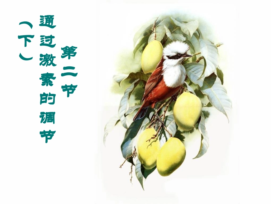 吉林省松原市扶余县第一中学高二生物《22通过激素的调节下》课件_第1页
