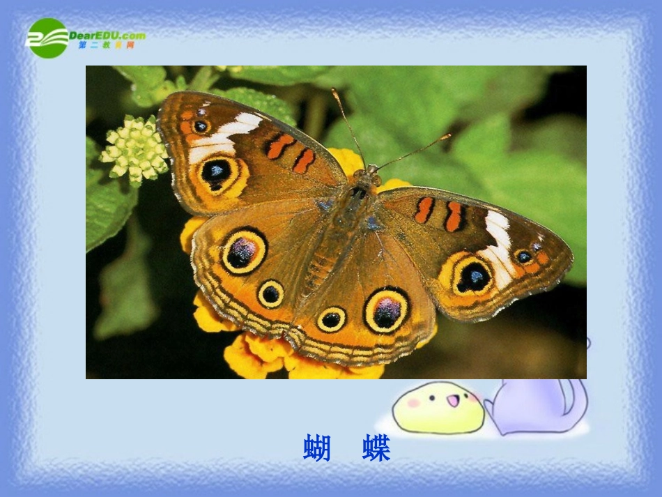 六年级科学下册-来自大自然的信息课件-青岛版(三年级起点)_第3页