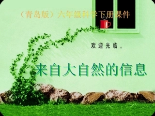六年级科学下册-来自大自然的信息课件-青岛版(三年级起点)