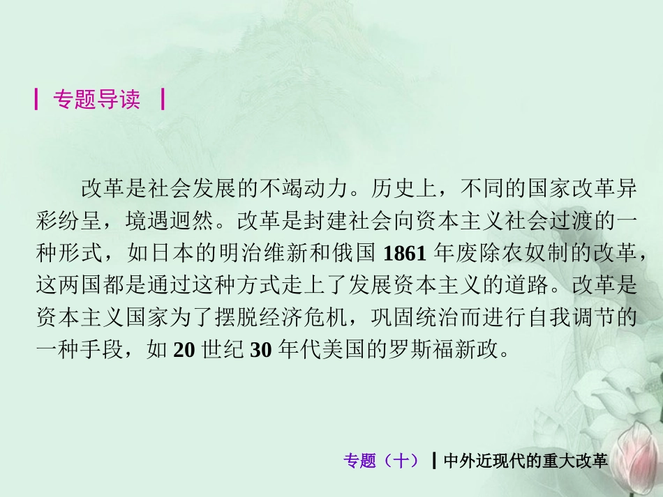 (新课标)2013届中考历史最后冲刺练热门专题-专题十-中外近现代的重大改革(专题导读+热点追踪+考向探究+_第2页