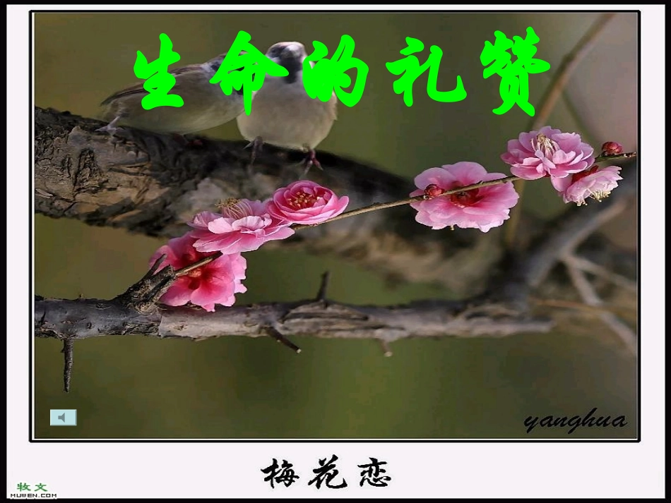 【2012年暑假总动员】高中语文-《鸟啼》课件-苏教版必修2_第2页