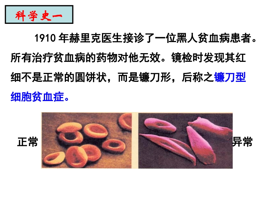 基因突变与基因重组_第3页