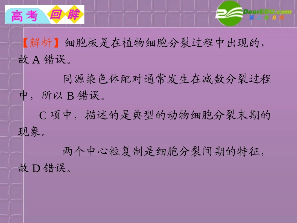 2012届高中生物总复习第一轮-4.1细胞的增殖(1)课件-浙科版新课标必修1_第3页