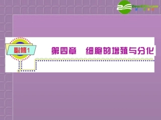 2012届高中生物总复习第一轮-4.1细胞的增殖(1)课件-浙科版新课标必修1